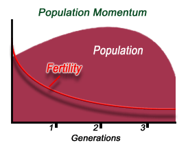 Population Momentum