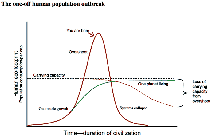 Population overshoot