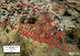 Arizona Border Patrol incidents November 19, 2012
