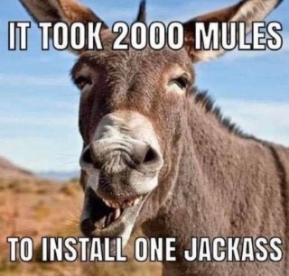 It took 2000 mules to install one jackass