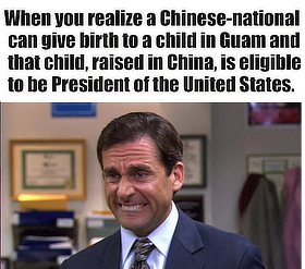 Chinese national eligible for president