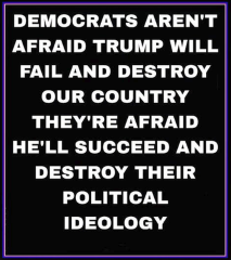Democrats are afraid Trump will succeed