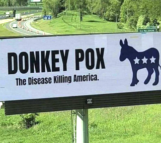 Donkey Pox - the disease killing America