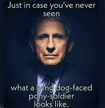 Fauci: lying dog-faced pony soldier
