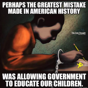 greatest-mistake-government-educate-children.png