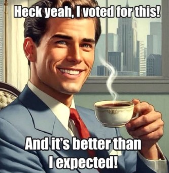 I voted for this