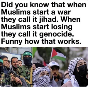 muslims-genocide.png