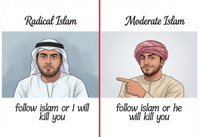 radical islam moderate islam