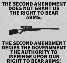 The Second Amendment