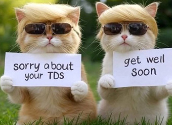 Sorry about your TDS