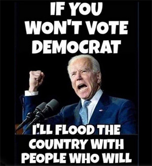 Biden - flood the country who will vote Democrat