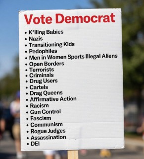 Vote Democrat