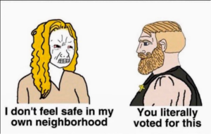 You literally voted for this
