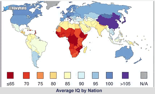 Average IQ by nation