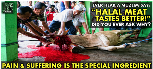 Halal meat tastes better - pain and suffering is the special ingredient