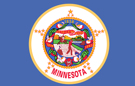 Minnesota historical state flag