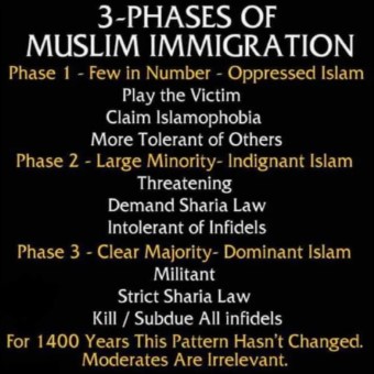 Three phases of muslim immigration
