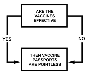 Flowchart: do we need vaccine passports?