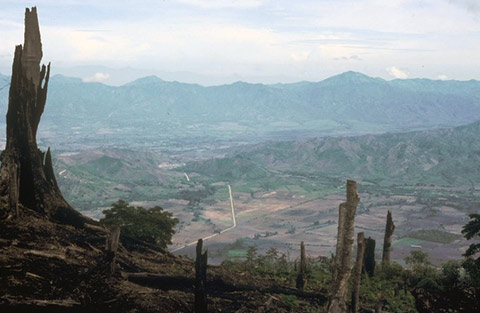 Honduras rampant deforestation