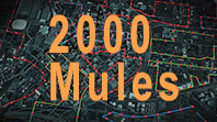 2000 Mules documentary