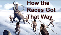 How the races got that way