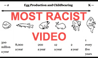 The Most 'Racist' Video You Will Ever See