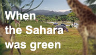 When the Sahara was green