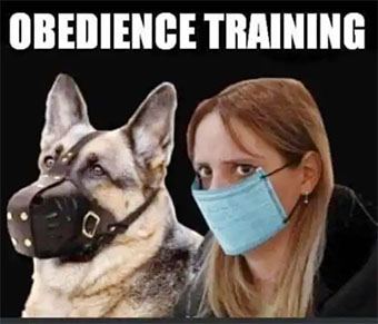 Obedience training