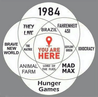 You are here